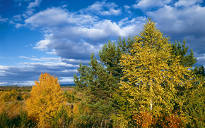 sky, autumn, trees, landscape, clouds