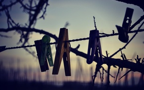 macro