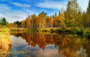 autumn, forest, water, nature
