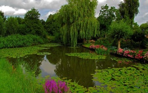nature