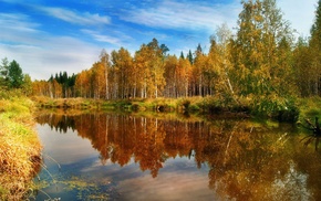 landscape, river, forest, autumn, nature