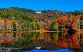 reflection, forest, lake, autumn