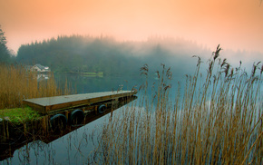 nature, coast, river