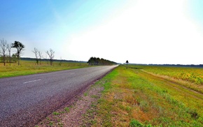 road, grass, sky, nature