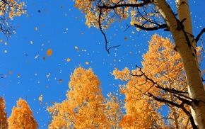 sky, autumn