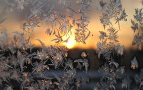frost, winter, macro, sunset, cold