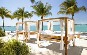 palm trees, beach, interior