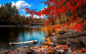 trees, stones, river, bridge, autumn