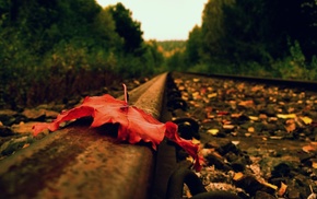 autumn, railway