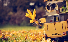 autumn, robot