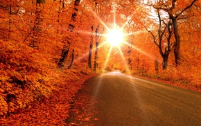 Sun, road, autumn