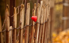 fence, light, heart, stunner