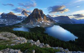 forest, mountain, stones, nature