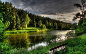 Germany, forest, nature, landscape, river