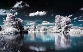 water, snow, tree, lake, winter