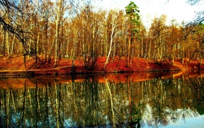 river, autumn, forest, nature