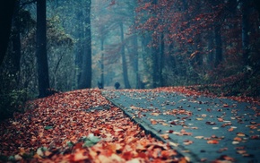 park, autumn, runway