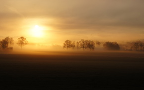 mist, sunset, field, landscape, nature
