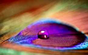 macro