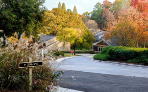 autumn, leaves, cities