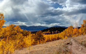 mountain, USA, autumn