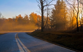 road, nature, morning, landscape, autumn