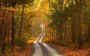 landscape, road, autumn