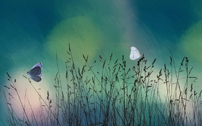 grass, nature