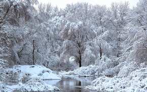 trees, winter, snow, river