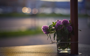 table, flowers, bouquet, highlights, glass