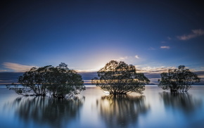 lake, nature, landscape, trees