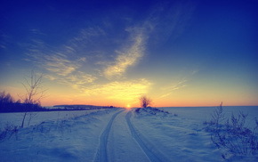 field, winter, nature, Sun, snow