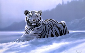 tiger, art, animals