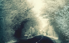 winter
