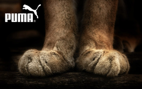 animals, sports
