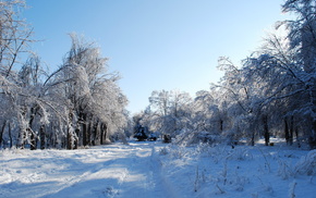 trees, road, winter, sky, forest
