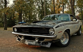 trees, cars