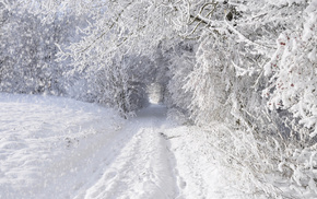 winter, road, snow, trees