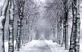 winter, park, trees