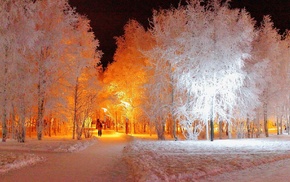 park, winter, trees, night