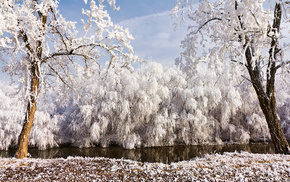 river, trees, winter, nature