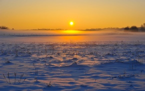 landscape, field, winter, sunrise, snow