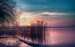 nature, Sun, evening, sunset, pink