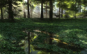 men, forest, sun rays, nature, art