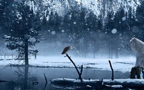owl, lake, 3D, snow, art