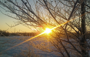 winter, Sun, frost
