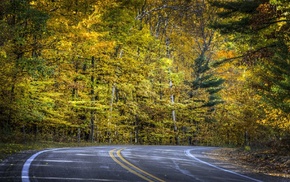 landscape, autumn, road