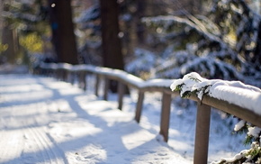 winter, macro, snow, fence