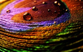 macro