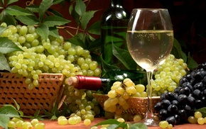 leaves, wineglass, grapes, bottle, wine